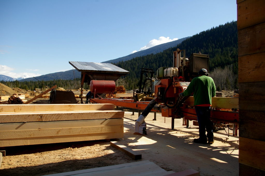 Timber cutting at Hyde Sawmill