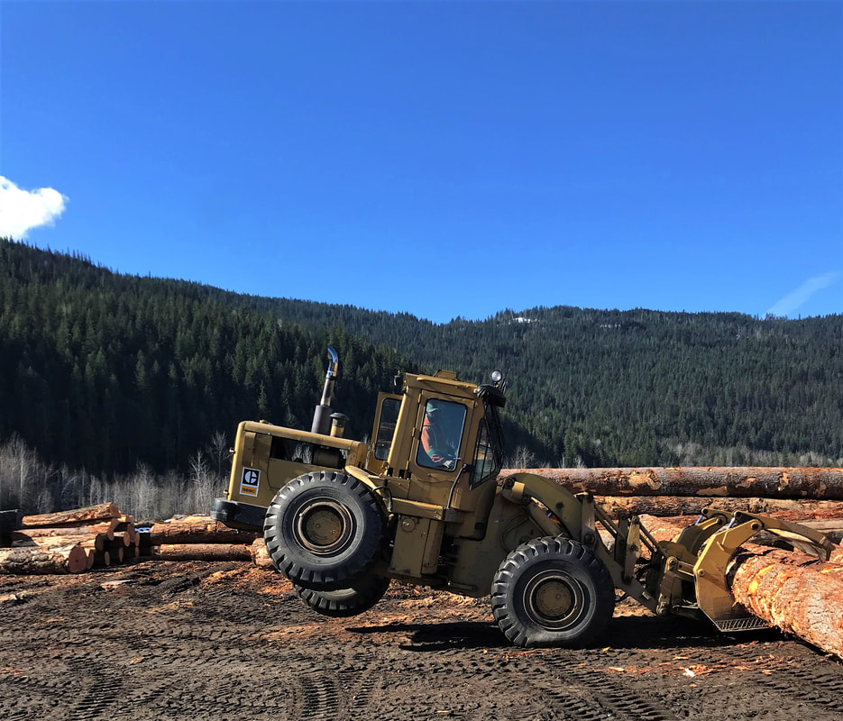 Logs arriving at Hyde Sawmill